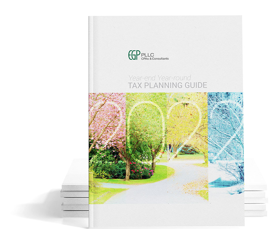 2022 EGP PLLC Tax Guide Download
